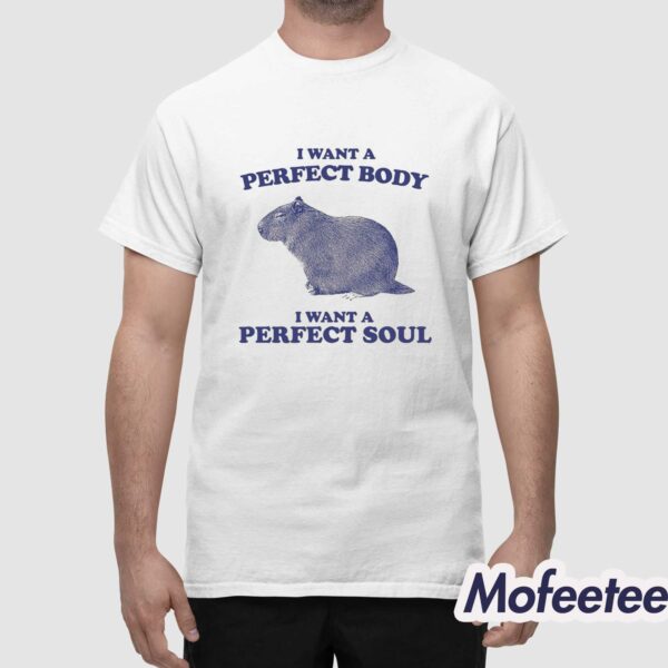 I Want A Perfect Body I Want A Perfect Soul Shirt
