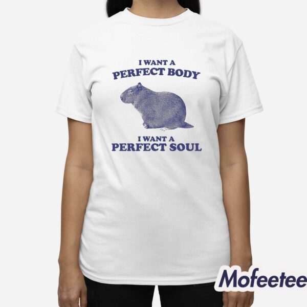 I Want A Perfect Body I Want A Perfect Soul Shirt