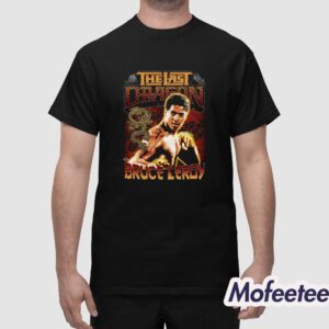 The Last Dragon Bruce Leroy Master Of The Glow Shirt 1