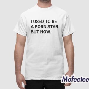 I Used To Be A Porn Star But Now I Own This Kebab Shop Shirt 1